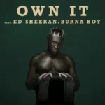 Stormzy – Own It ft. Ed Sheeran & Burna Boy (Audio)