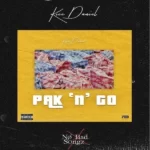 Kizz Daniel – Pak n Go (Song)