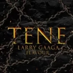 Larry Gaaga – Tene Ft. Flavour