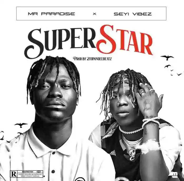 Mr Paradise – Superstar Ft. Seyi Vibez