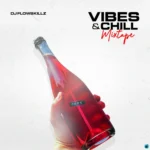 DJ Flowskillz – Vibes And Chill Volume III Mix