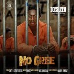 IceSleek – No Gree